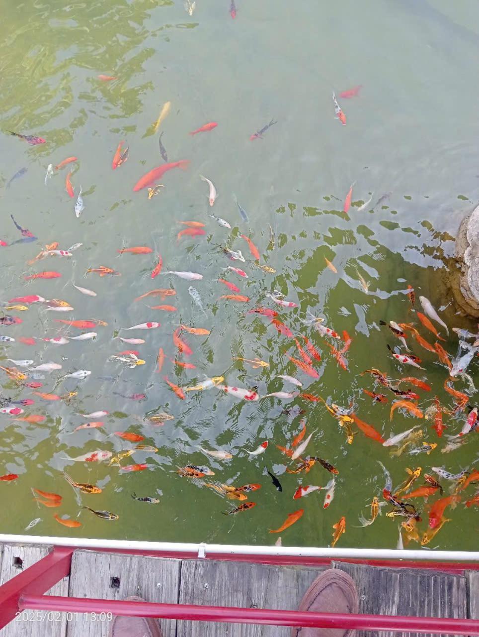 Homestay Suoi Khoang Minh Hang Yen Bai Zewnętrze zdjęcie